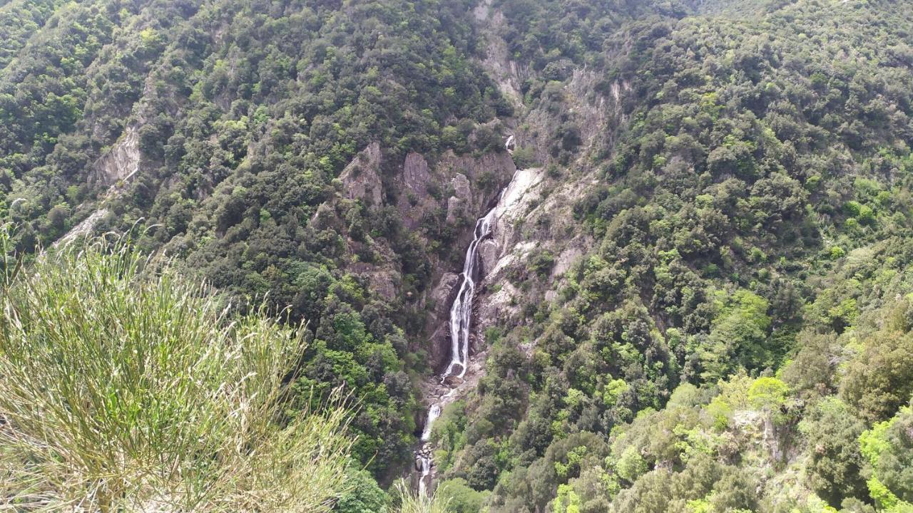 Abete Bianco Serra San Bruno Exterior foto