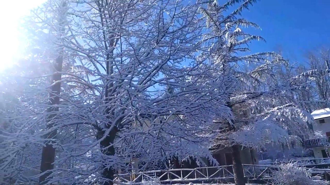 Abete Bianco Serra San Bruno Exterior foto