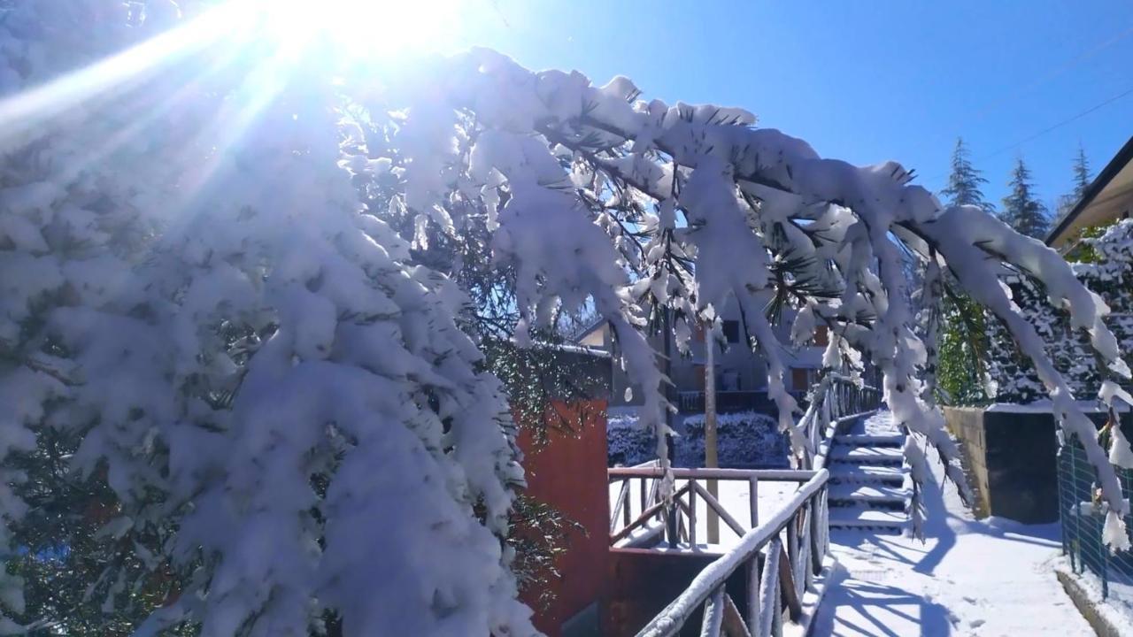 Abete Bianco Serra San Bruno Exterior foto